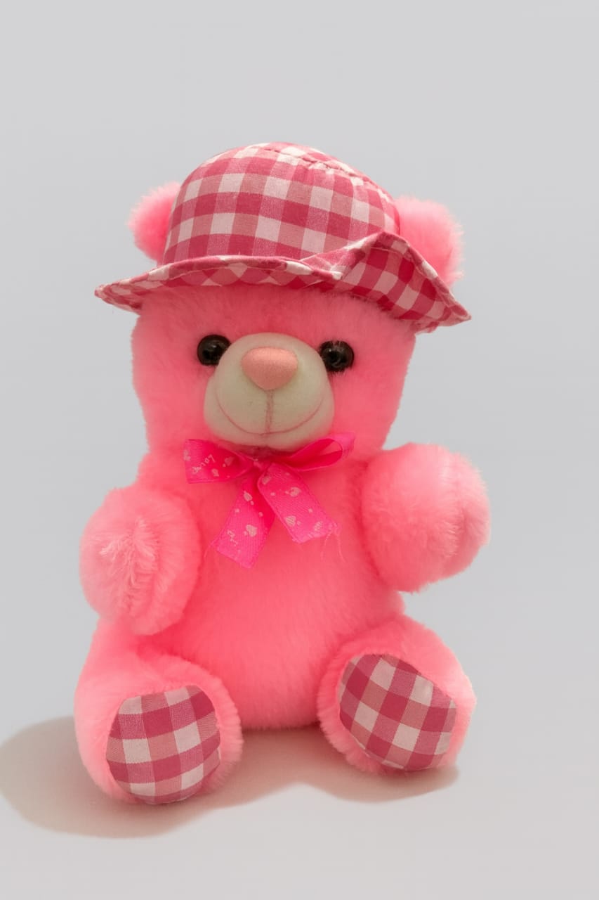 Soft Toy Mini Teddy